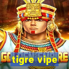 tigre vipe